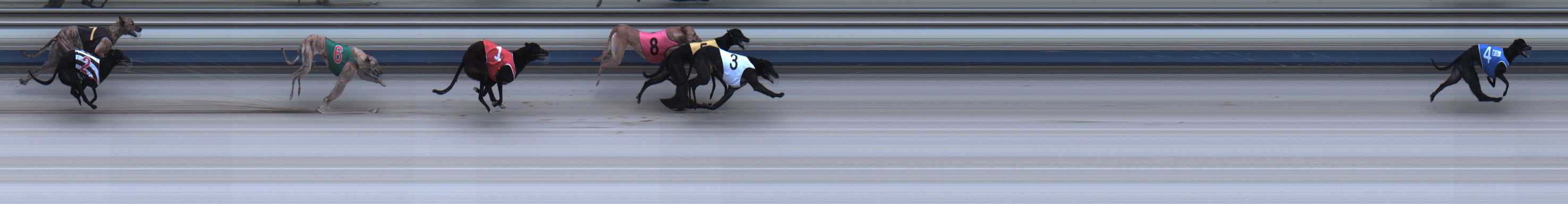Photo finish for Sale Race 1