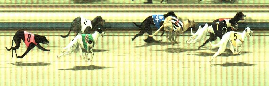 Photo finish for Sale Race 12