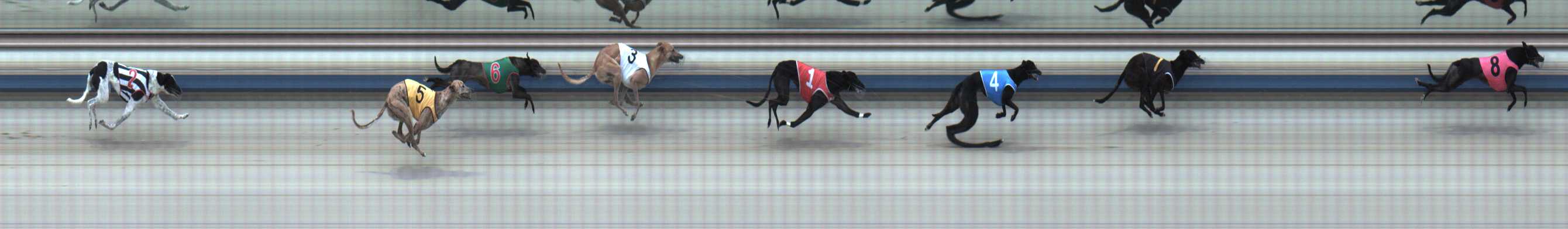 Photo finish for Sale Race 4
