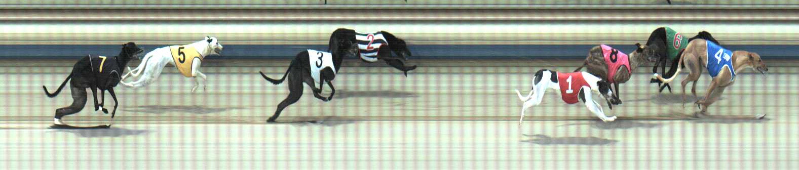 Photo finish for Sale Race 6