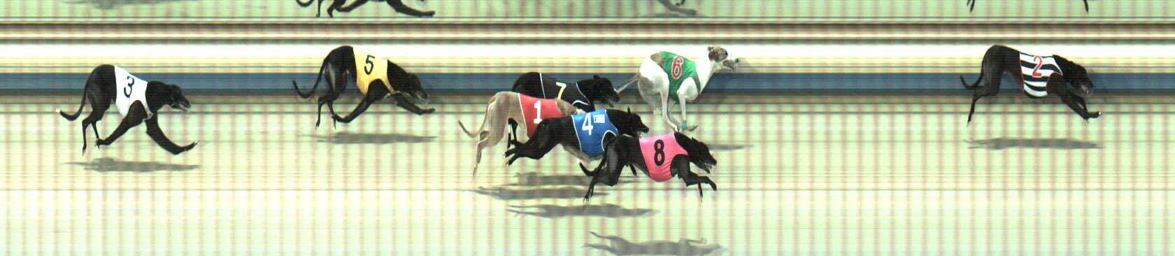 Photo finish for Sale Race 7