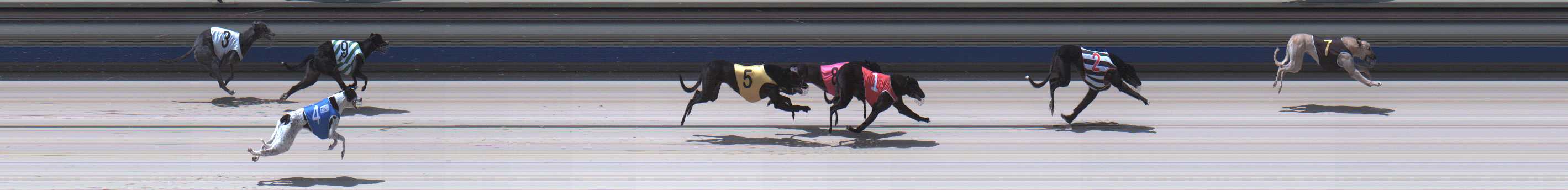 Photo finish for Sale Race 1