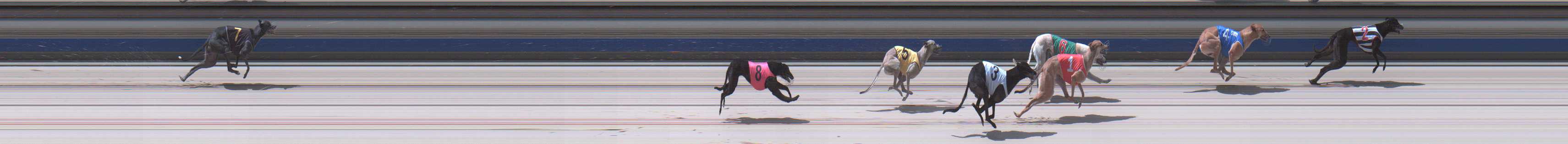 Photo finish for Sale Race 2