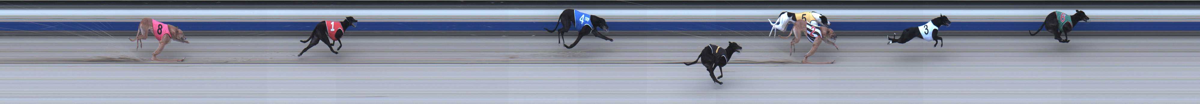 Photo finish for Sale Race 3