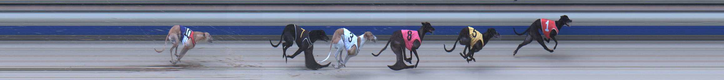 Photo finish for Sale Race 4