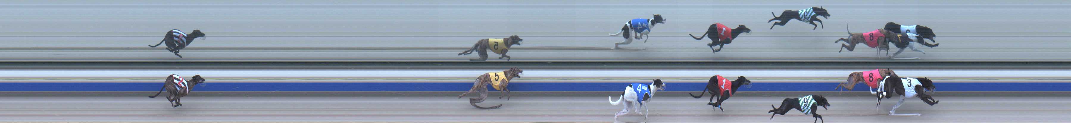 Photo finish for Sale Race 5