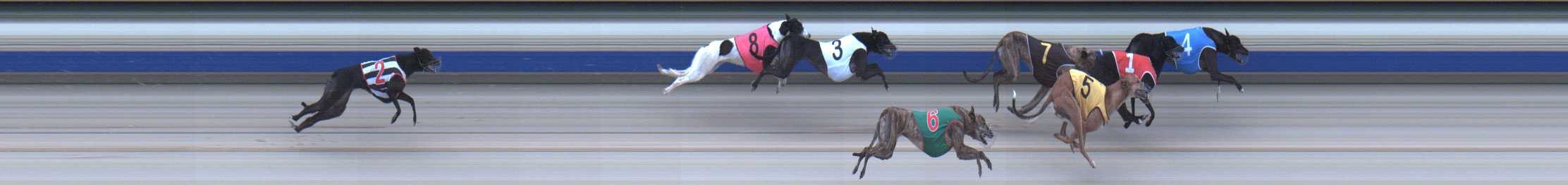 Photo finish for Sale Race 6