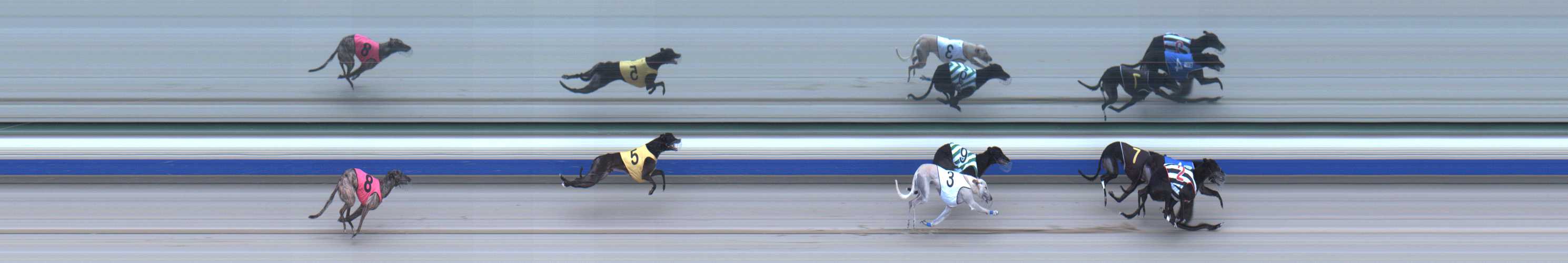 Photo finish for Sale Race 7