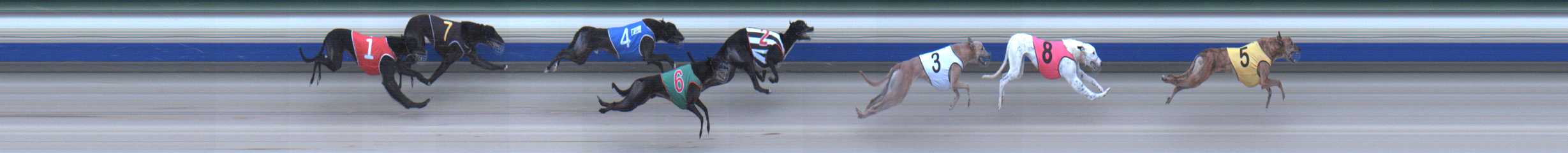 Photo finish for Sale Race 8