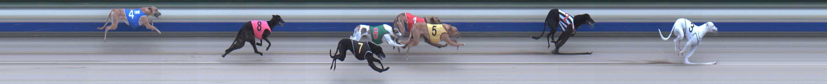 Photo finish for Sale Race 9