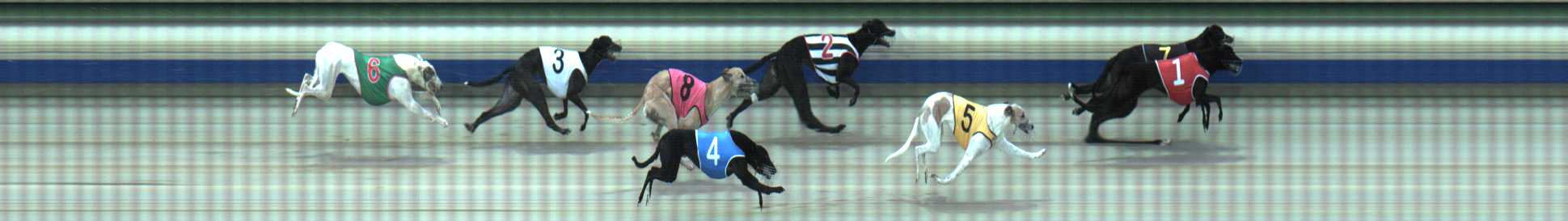 Photo finish for Sale Race 10