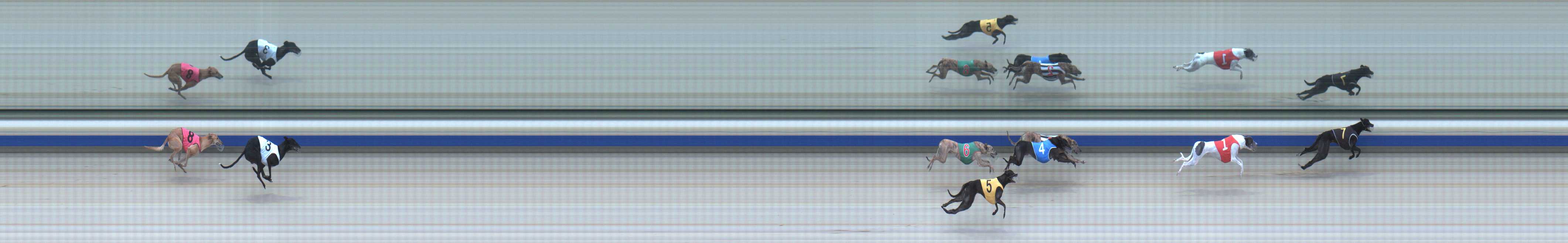Photo finish for Sale Race 11