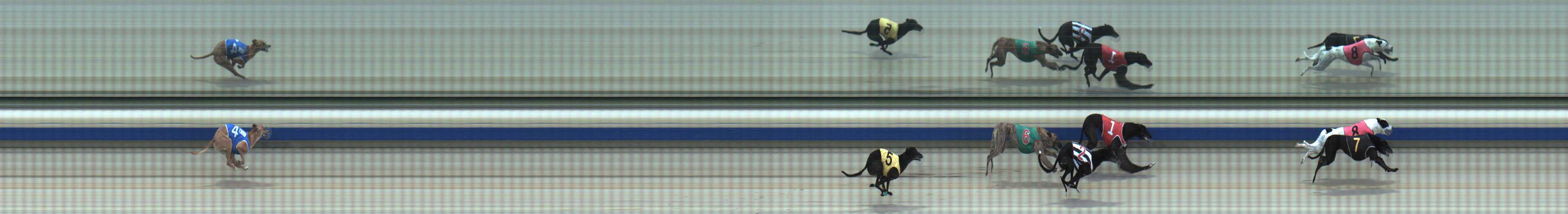 Photo finish for Sale Race 12