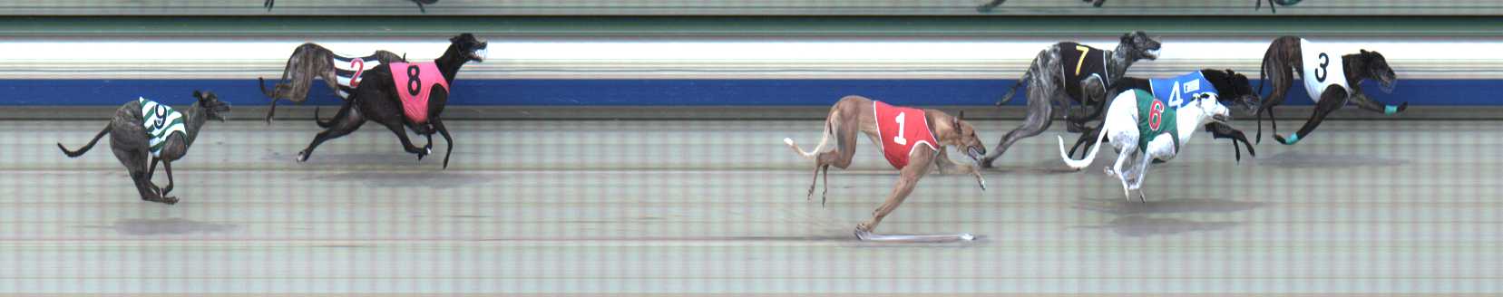 Photo finish for Sale Race 5