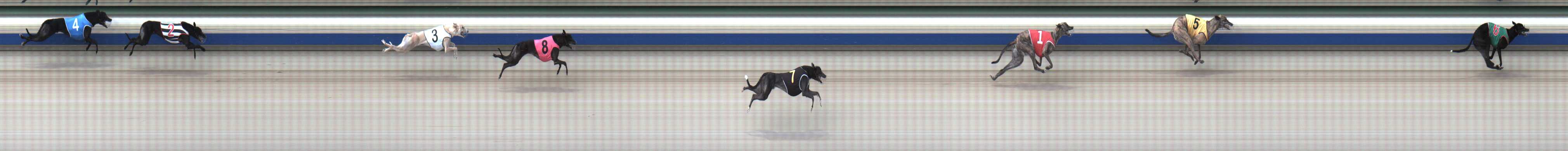 Photo finish for Sale Race 6