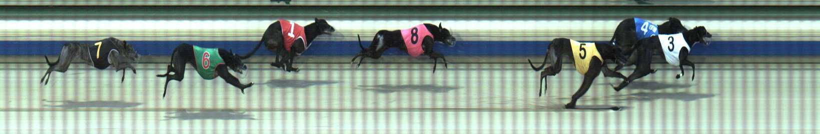 Photo finish for Sale Race 7