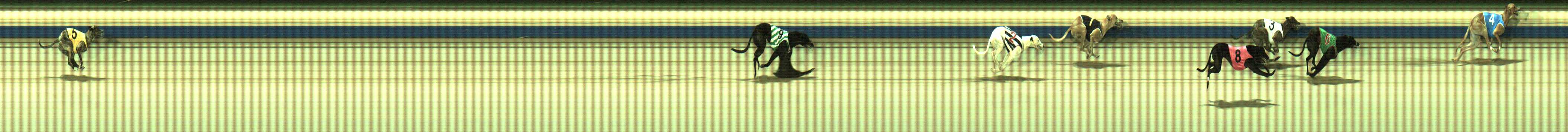 Photo finish for Sale Race 10