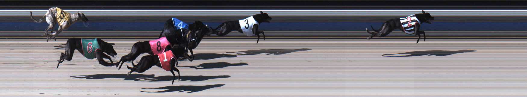 Photo finish for Sale Race 1