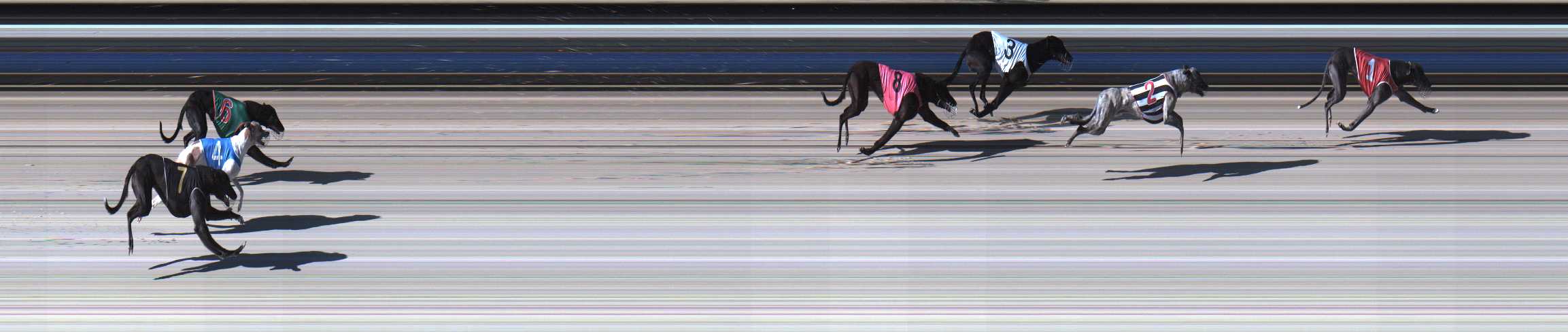 Photo finish for Sale Race 2