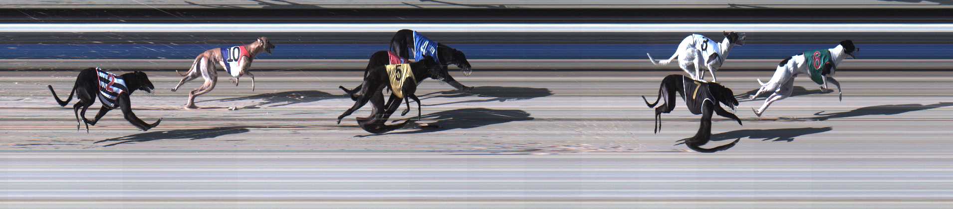 Photo finish for Sale Race 3
