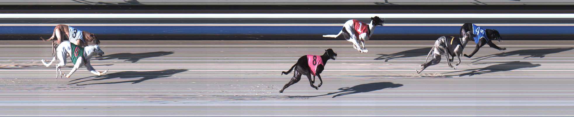 Photo finish for Sale Race 4