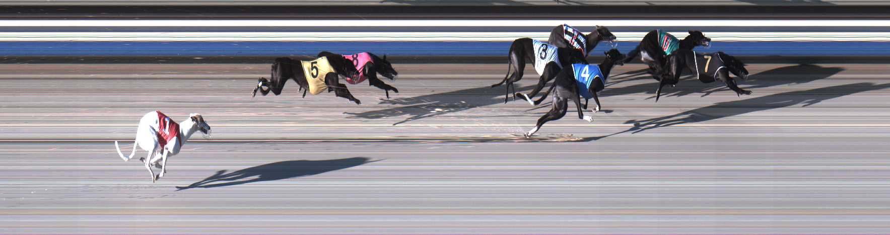 Photo finish for Sale Race 5