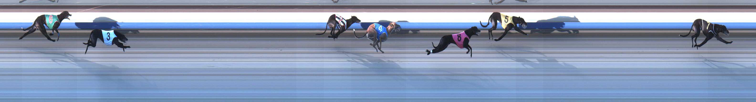 Photo finish for Sale Race 6
