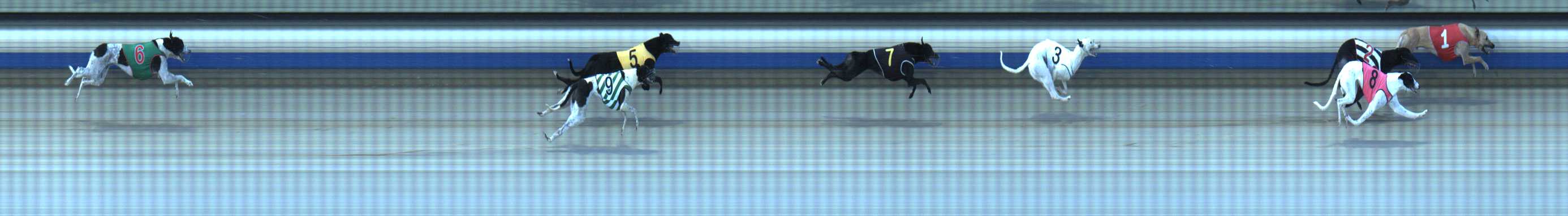 Photo finish for Sale Race 7