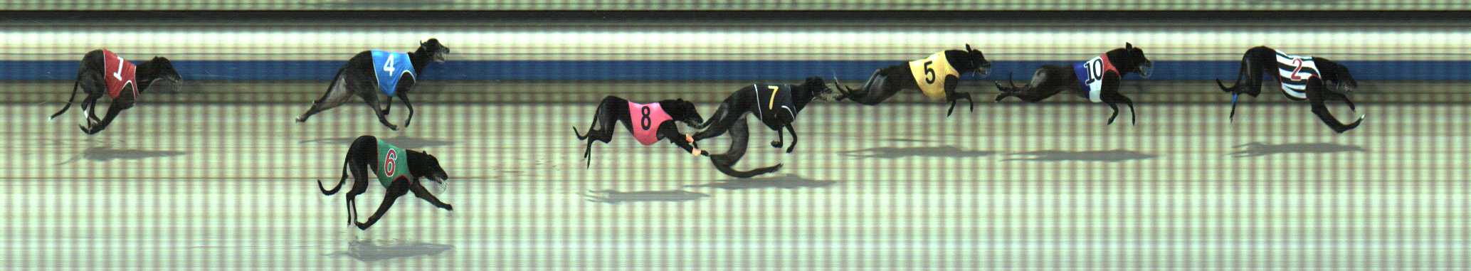 Photo finish for Sale Race 9