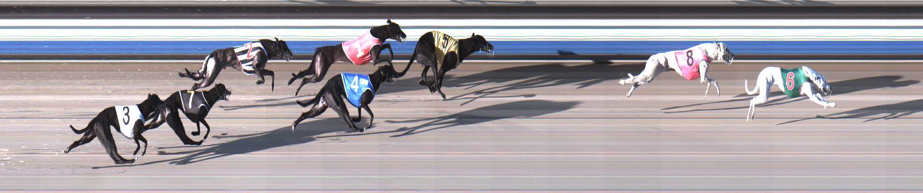 Photo finish for Sale Race 2