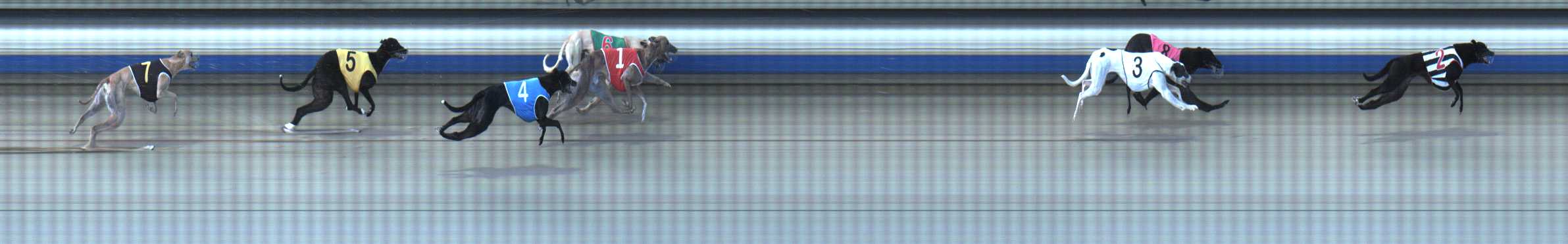 Photo finish for Sale Race 3
