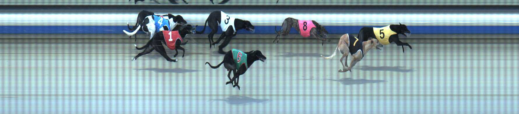 Photo finish for Sale Race 4