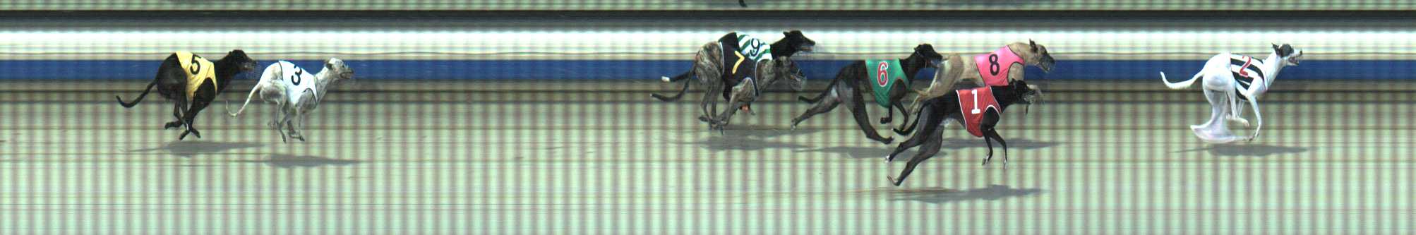 Photo finish for Sale Race 5