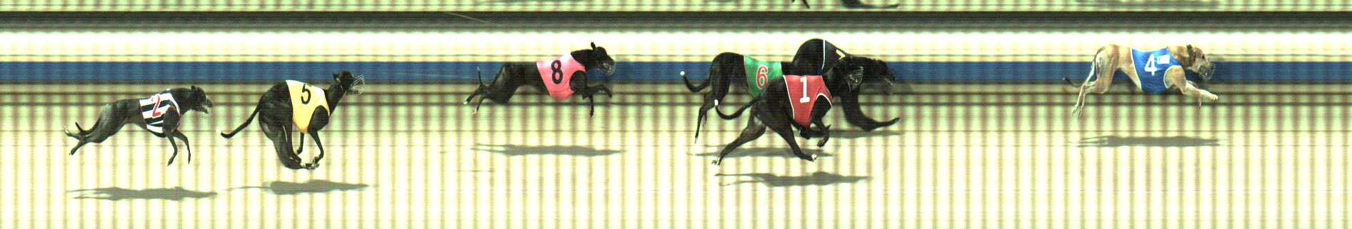 Photo finish for Sale Race 6