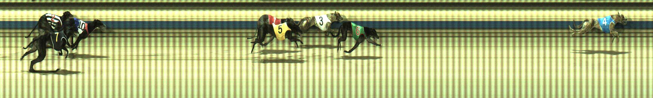 Photo finish for Sale Race 7