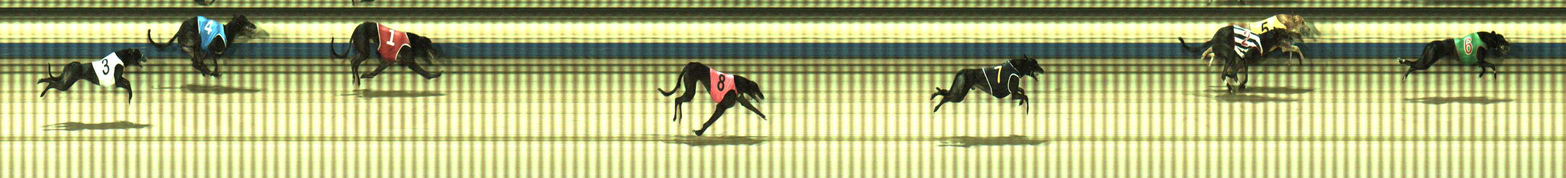 Photo finish for Sale Race 8