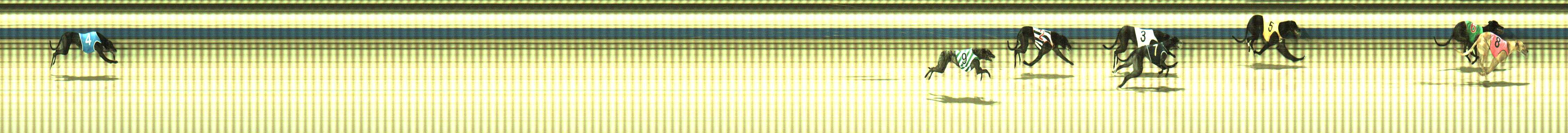 Photo finish for Sale Race 9