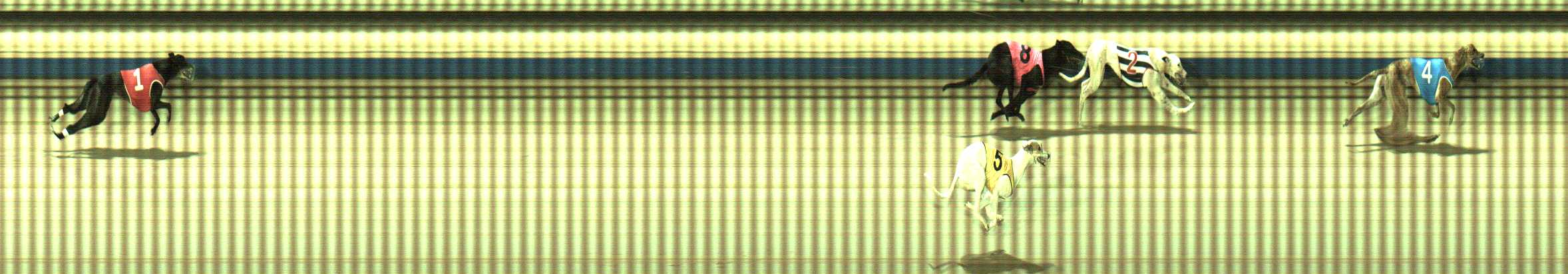 Photo finish for Sale Race 10