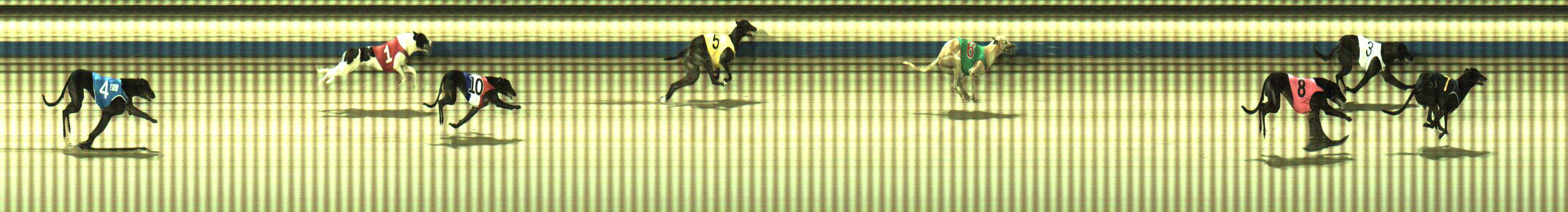 Photo finish for Sale Race 12
