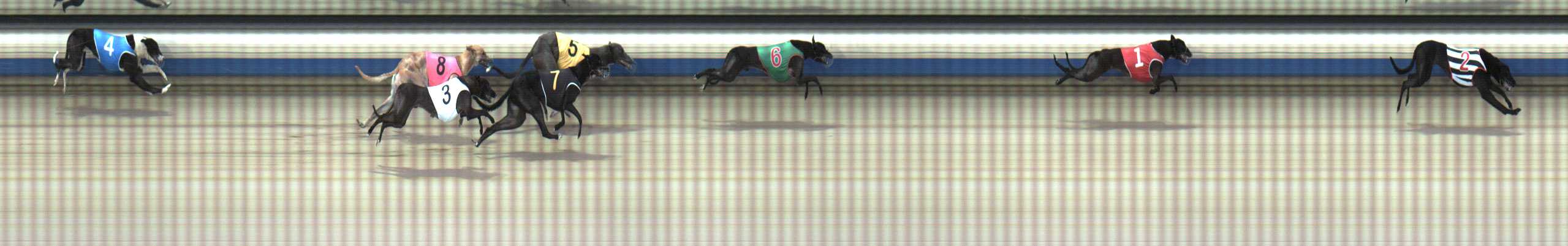 Photo finish for Sale Race 4