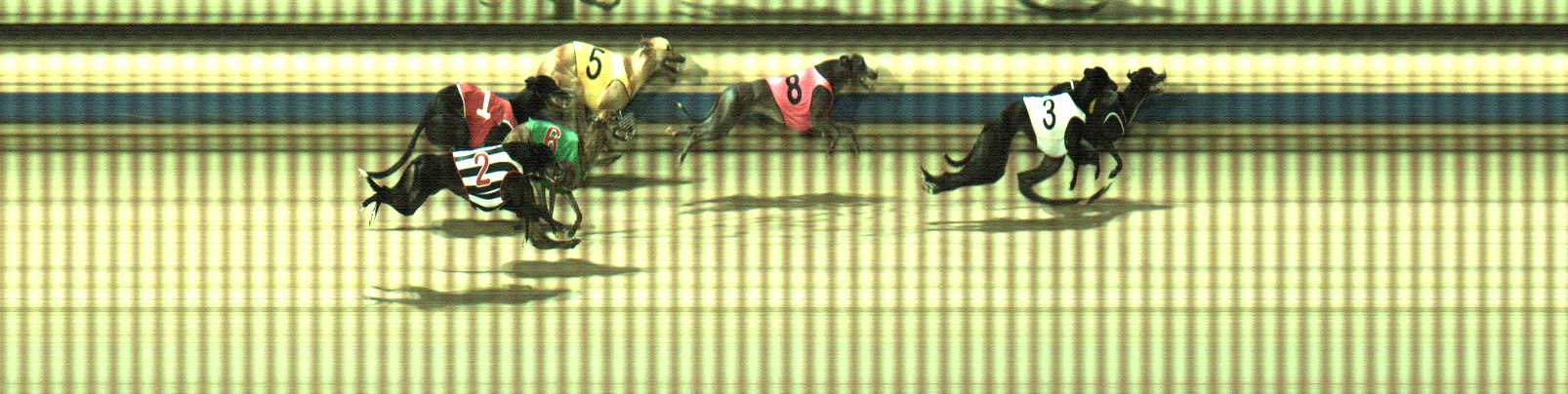 Photo finish for Sale Race 6
