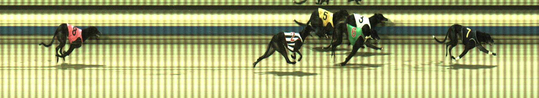 Photo finish for Sale Race 8
