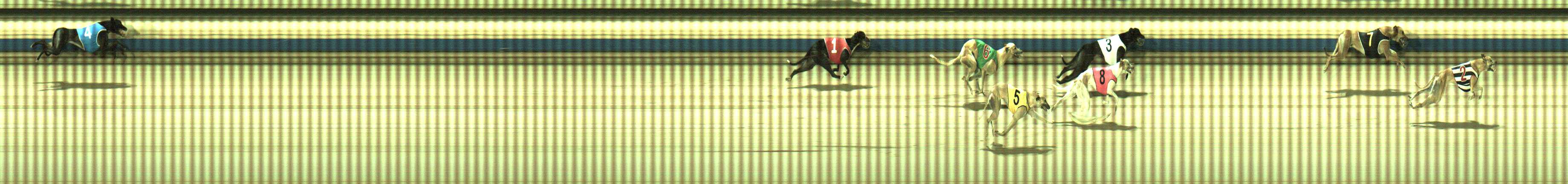 Photo finish for Sale Race 11