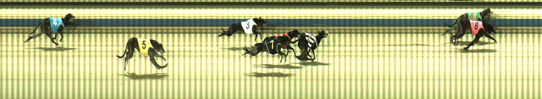 Photo finish for Sale Race 12