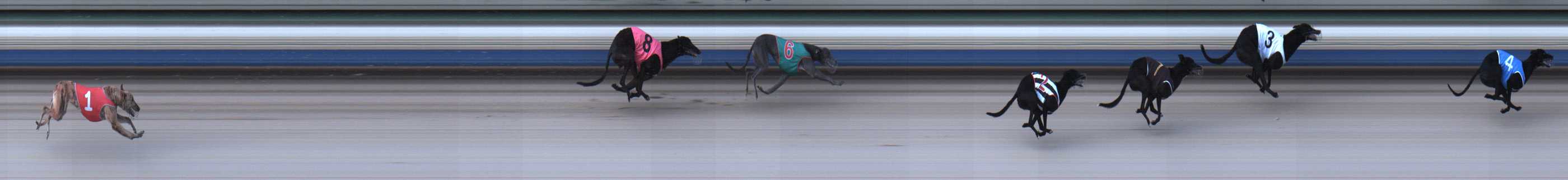 Photo finish for Sale Race 1