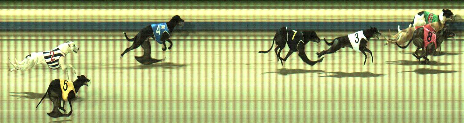 Photo finish for Sale Race 11