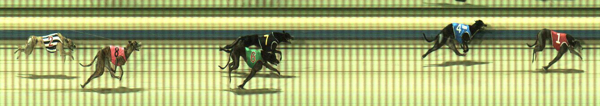 Photo finish for Sale Race 12