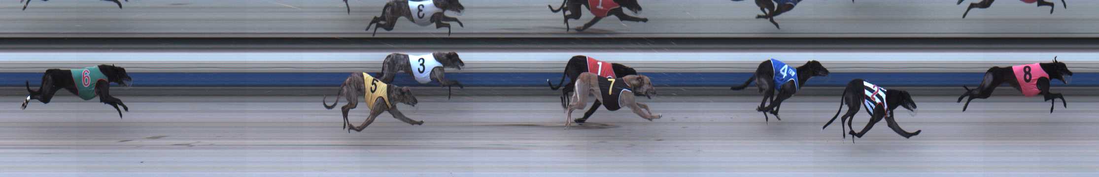 Photo finish for Sale Race 2