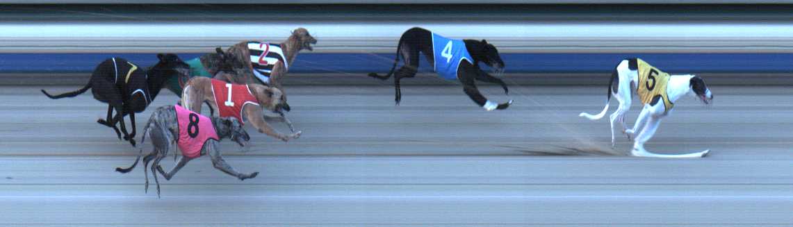 Photo finish for Sale Race 3