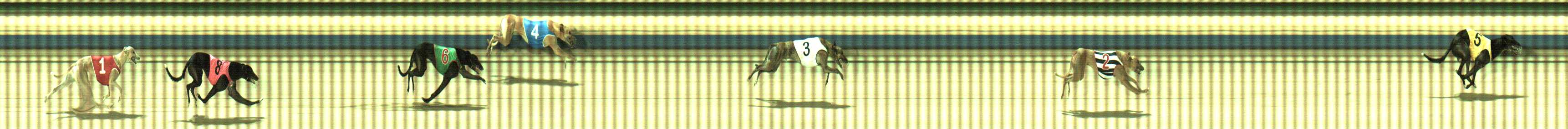 Photo finish for Sale Race 6